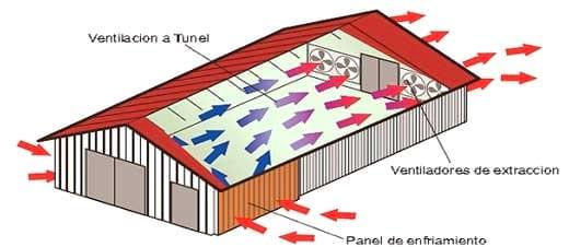 Granja Porcina en confinamiento (Sistemas Constructivos con Ventilación Forzada) - Image 8