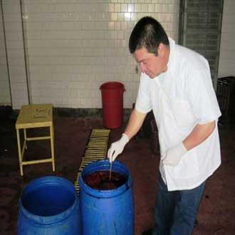 Proceso artesanal de producción de harina de sangre de bovino - Image 1