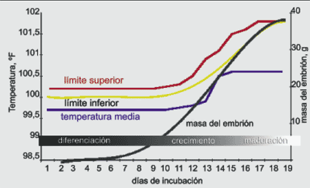 La incubación de carga única es la opción más natural - Image 2