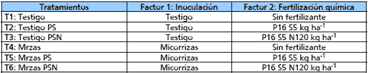 Evaluación de la inoculación con Micorrizas en Maíz bajo diferentes ambientes de Fertilidad. - Image 1