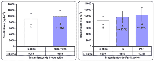 Evaluación de la inoculación con Micorrizas en Maíz bajo diferentes ambientes de Fertilidad. - Image 7