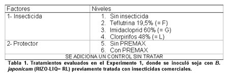 Uso de un protector Bacteriano sobre la nodulación de plantas de soja - Image 1