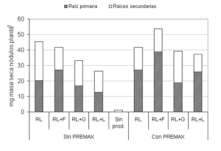 Uso de un protector Bacteriano sobre la nodulación de plantas de soja - Image 4