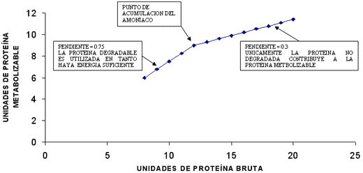 Aportes de Proteína en Vacuno De Leche - Image 7