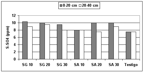 Sulfato de calcio sólido granulado como fuente de azufre para el cultivo de soja - Image 2