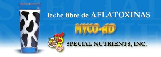Eficacia de MYCO-AD en disminuir la presencia de Aflatoxina M1 en la leche - Image 1