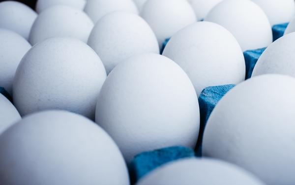 La calidad de los huevos está directamente relacionada con la dieta de las aves - Image 1