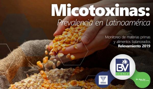 Micotoxinas: Prevalencia en Latinoamérica 2019 - Image 1