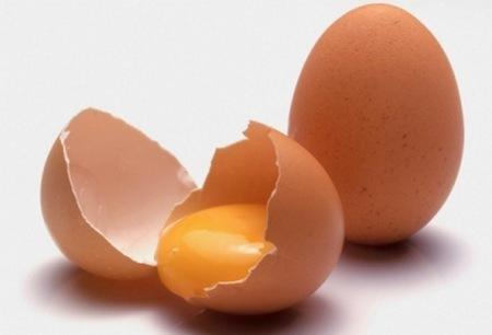 Holanda - El secreto para mejorar la cáscara de huevo - Image 1