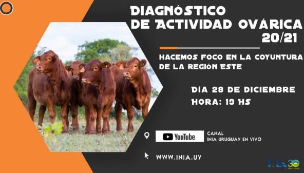 Uruguay - Jornadas de Divulgación Diagnóstico de actividad ovárica - Image 1