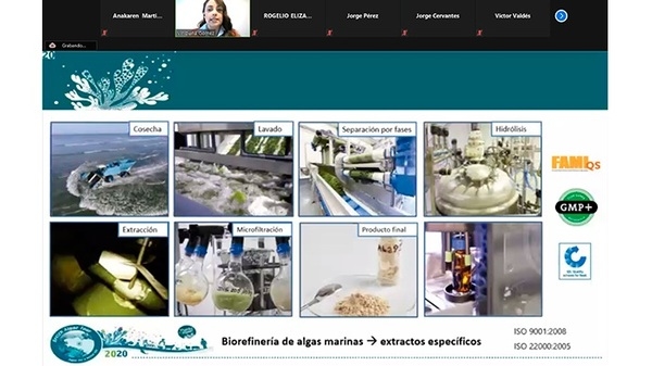 El papel fundamental de la digestibilidad en producción animal - Image 2