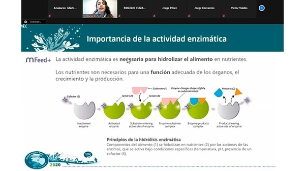 El papel fundamental de la digestibilidad en producción animal - Image 1