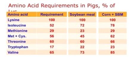Cerdos: Beneficios de dieta a base de proteína de soja - Image 1