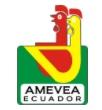 Ecuador - Cursos de patología Aviar de AMEVEA - Image 1