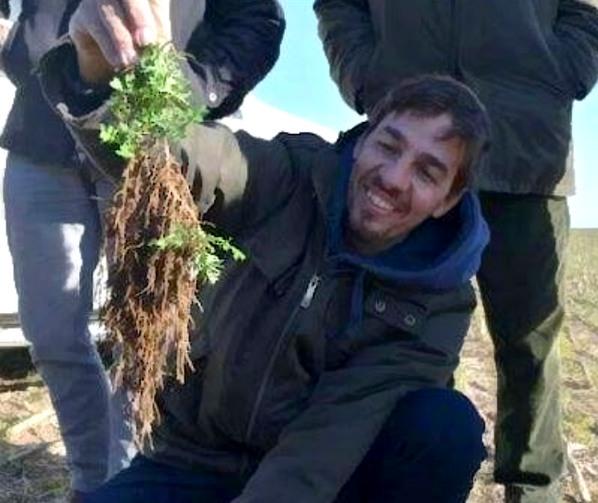 Argentina - Esclarecen el rol de las raíces en la salud de suelos y ecosistemas - Image 1