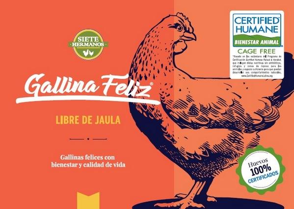 Argentina - Producción de huevos de gallinas libres de jaulas, único modelo en el país - Image 1
