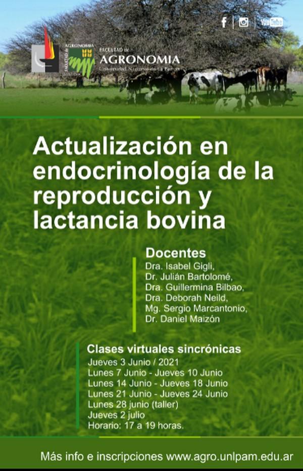 Actualización en endocrinología de la reproducción y lactancia bovina - Image 1