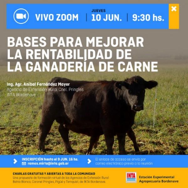 Argentina - Bases para mejorar la rentabilidad de la ganadería de carne - Image 1