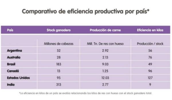 ¿Por qué una mejora en la sanidad puede cambiar el paradigma de la producción vacuna en la Argentina? - Image 2