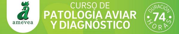 Colombia - Curso de Patología Aviar y Diagnóstico - Image 1