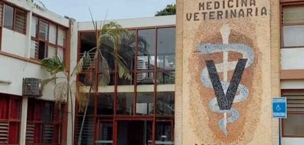 Perú: Facultad de Medicina Veterinaria de la UNMSM celebra Bodas de Brillantes - Image 1