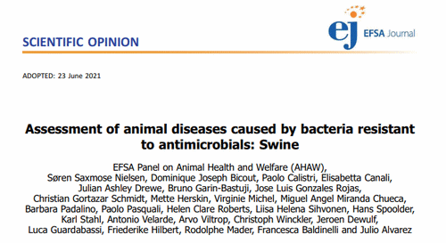 Bacterias resistentes a antibióticos más importantes en porcino. Informe EFSA - Image 1