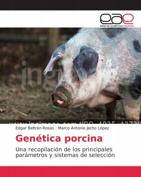 Genética porcina, Recopilan principales parámetros y sistemas de selección - Image 1