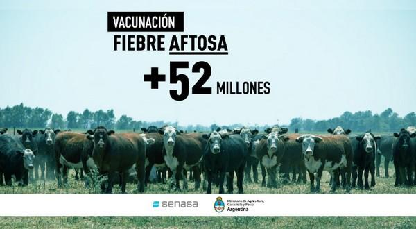 Más de 52 millones de bovinos vacunados contra la aftosa en la primera campaña 2021 - Image 1