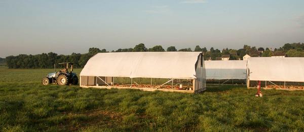 EE.UU. - Perdue Farms prueba gallineros móviles con energía solar - Image 1