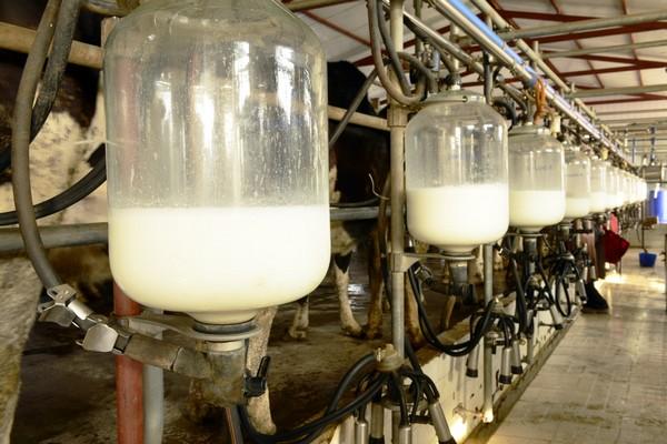 México ante el reto de mejorar la producción nacional de leche y sus derivados con menos recursos - Image 1