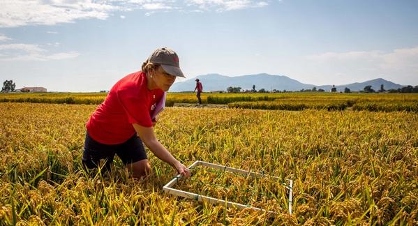 España - Cómo mitigar el cambio climático desde la agricultura - Image 1