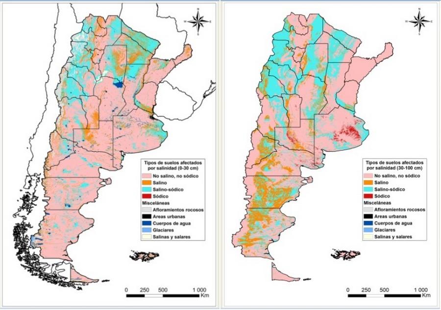 Argentina - Elaboran el primer mapa de suelos afectados por sales - Image 4