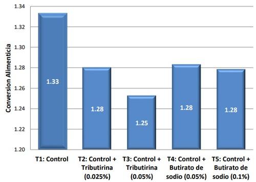 Perú - Evalúan Tributirina y Butirato de sodio en pollos de engorde - Image 2