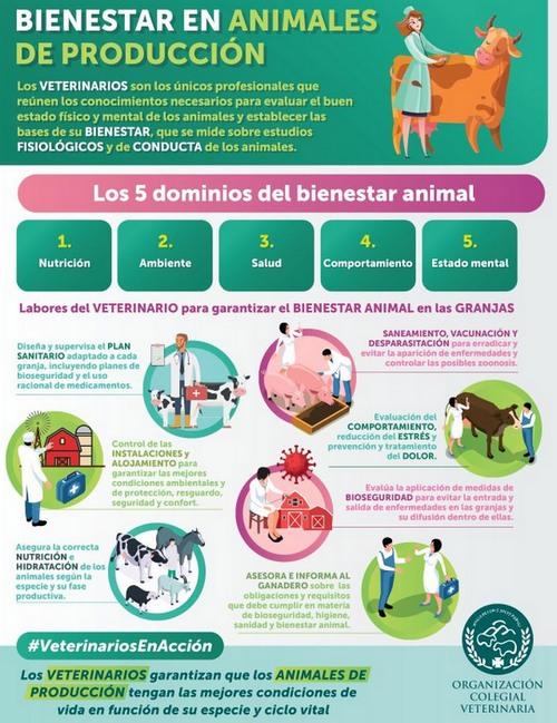 España - Bienestar animal: 