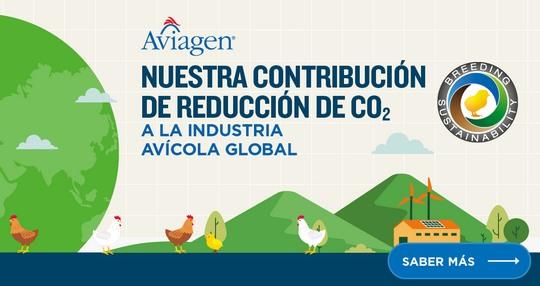 Sostenibilidad: Impacto en la huella de carbono del sector avícola global - Image 3