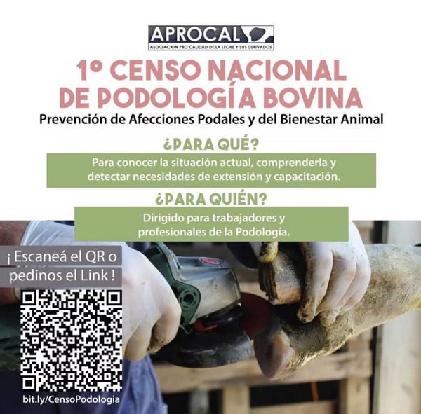 Argentina - Primer Censo Nacional de Podología Bovina - Image 1