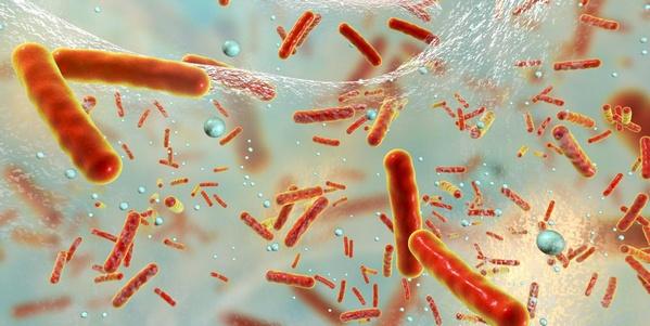Unión Europea - Niveles de resistencia a antibióticos de Salmonella y Campylobacter siguen siendo elevados. Informe EFSA - Image 1