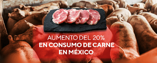 Aumento de 20% en consumo de carne de cerdo en México - Image 1