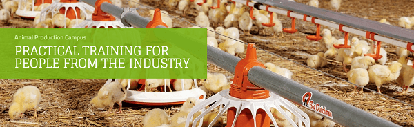 Análisis de datos para las industrias avícola y porcina - Image 1