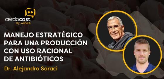 CerdoCast #65: Manejo estratégico en el uso racional y prudente de antibióticos: Dr. Alejandro Soraci - Image 1