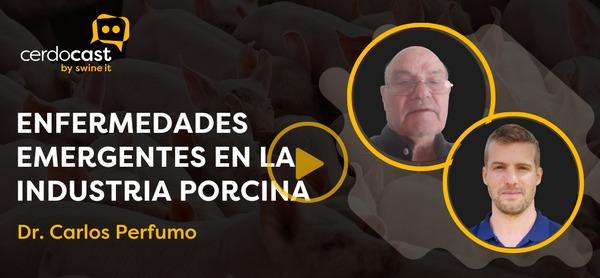 Cerdocast  #66: Enfermedades emergentes en porcinos - Dr. Carlos Perfumo - Image 1