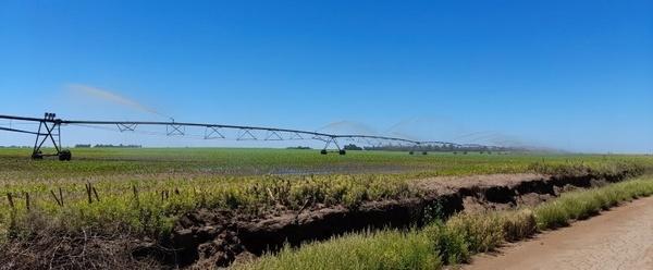 Argentina - Biogás: Valorización de los residuos agropecuarios y agroindustriales - Image 2