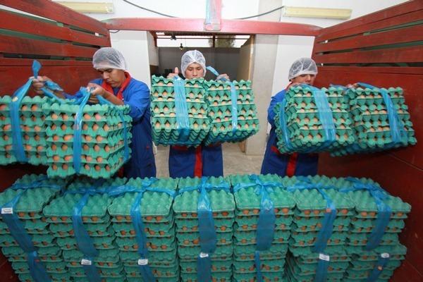 Perú - APA compartirá más de 26 mil huevos con poblaciones vulnerables - Image 1