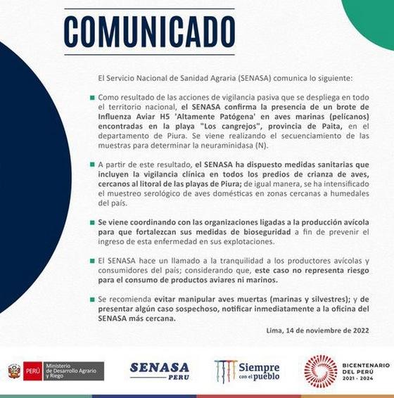 Perú - Senasa confirma brote de influenza aviar H5 en pelícanos - Image 1