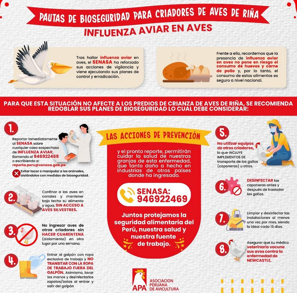 Perú - Pautas de Bioseguridad por la Influenza Aviar - Image 3