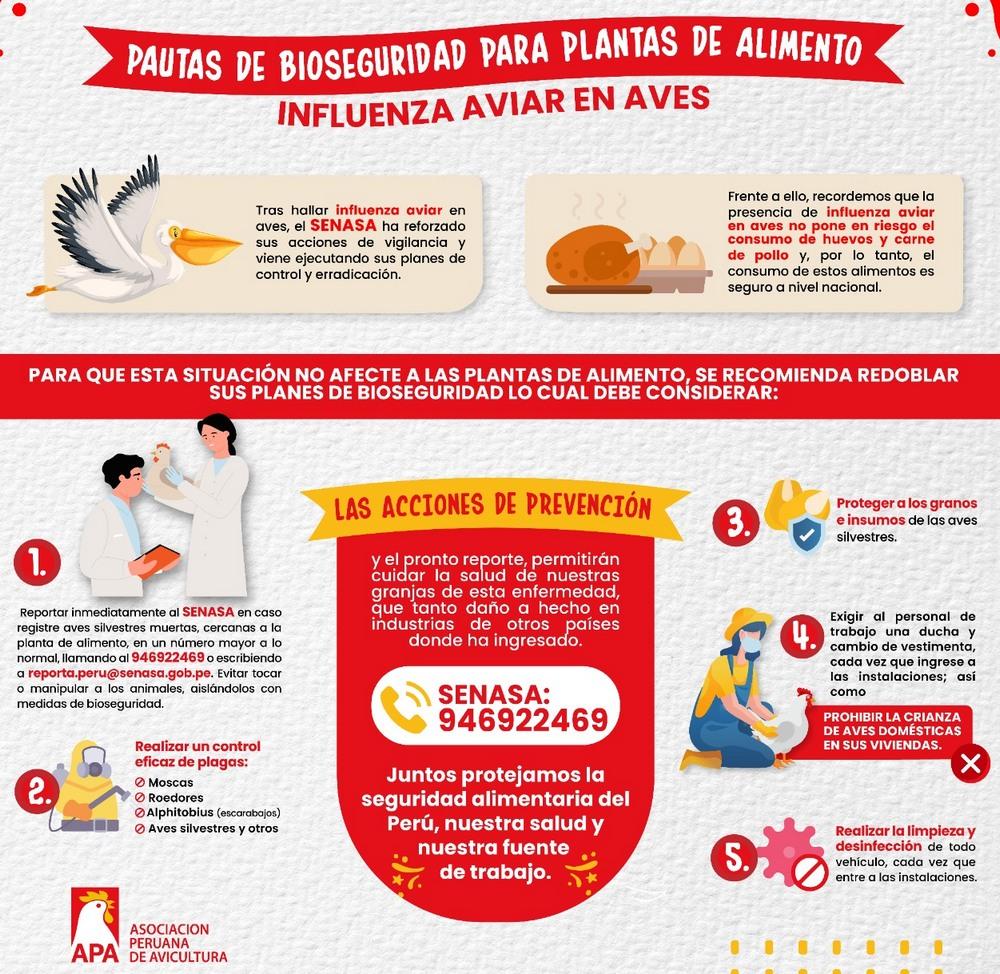 Perú - Pautas de Bioseguridad por la Influenza Aviar - Image 7