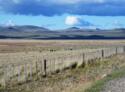 Proponen una forma de anticiparse a la degradación en Patagonia - Image 3
