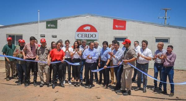 Argentina - Cerdo de los Llanos inauguró nueva Planta de Engorde - Image 1