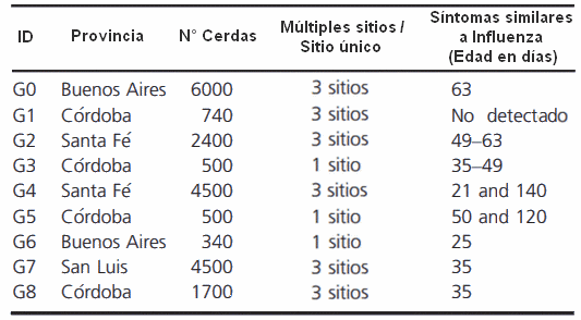 Argentina - Influenza en cerdos: Evalúan patrones de infección en granjas - Image 1