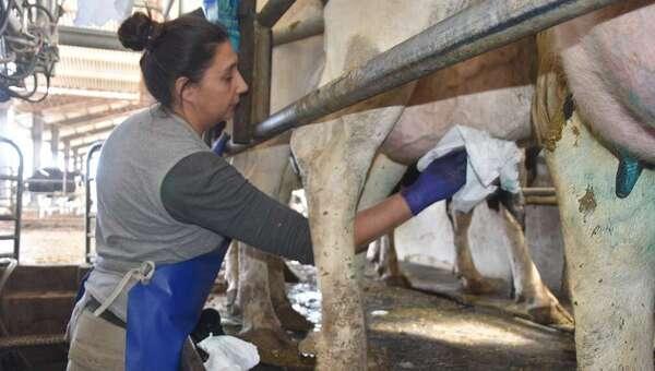 Calidad higiénico-sanitaria: Buenos Aires produce la mejor leche del país - Image 1